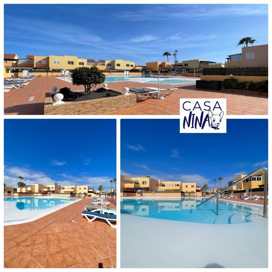 B-Rent Los Delfines Casa Nina 科拉雷侯 外观 照片